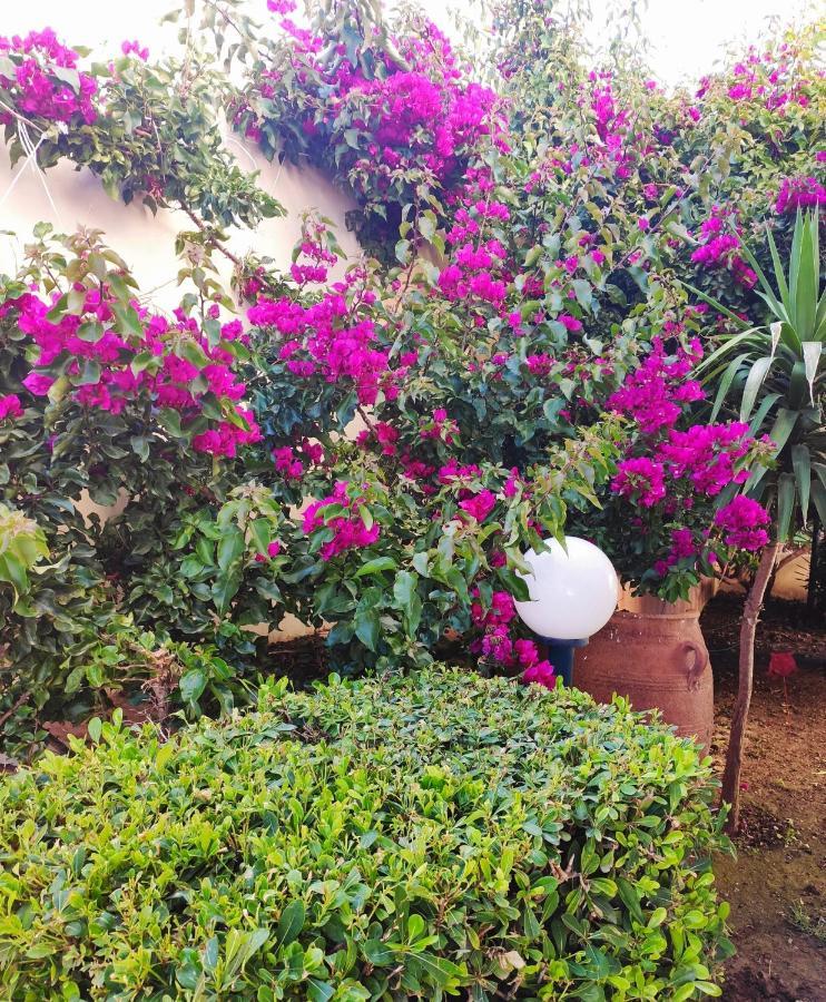 Villa Aphrodite Kolimvárion Ngoại thất bức ảnh
